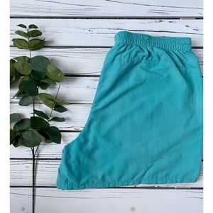 Blue Patagonia Baggies Shorts